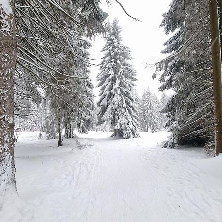 Hotel Zum Gruendle Oberhof  Bagian luar foto