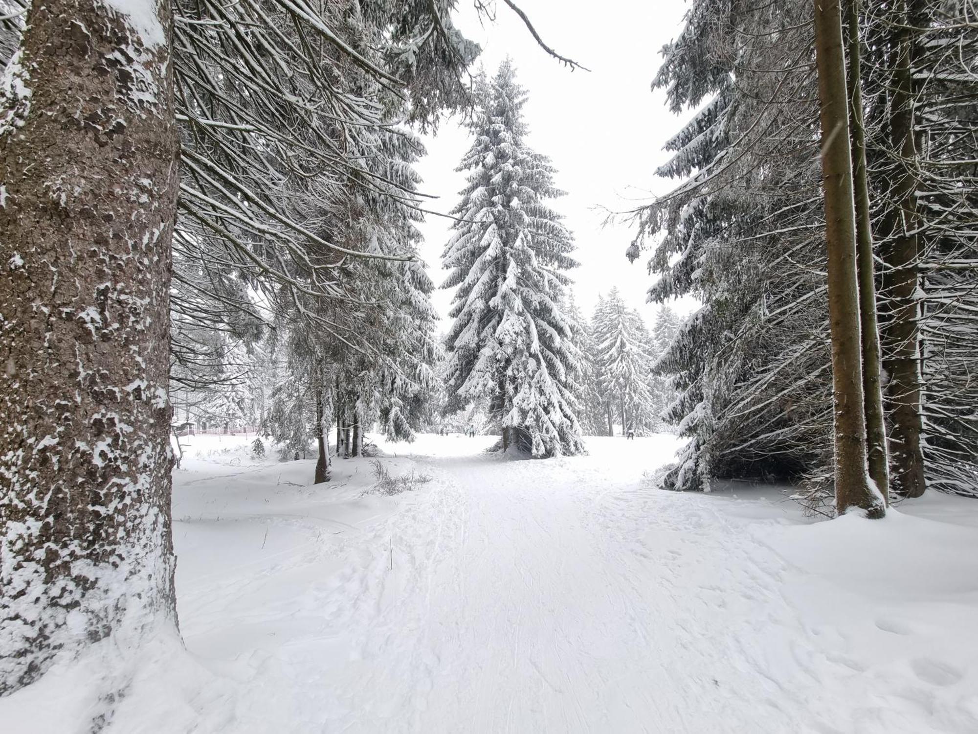 Hotel Zum Gruendle Oberhof  Bagian luar foto