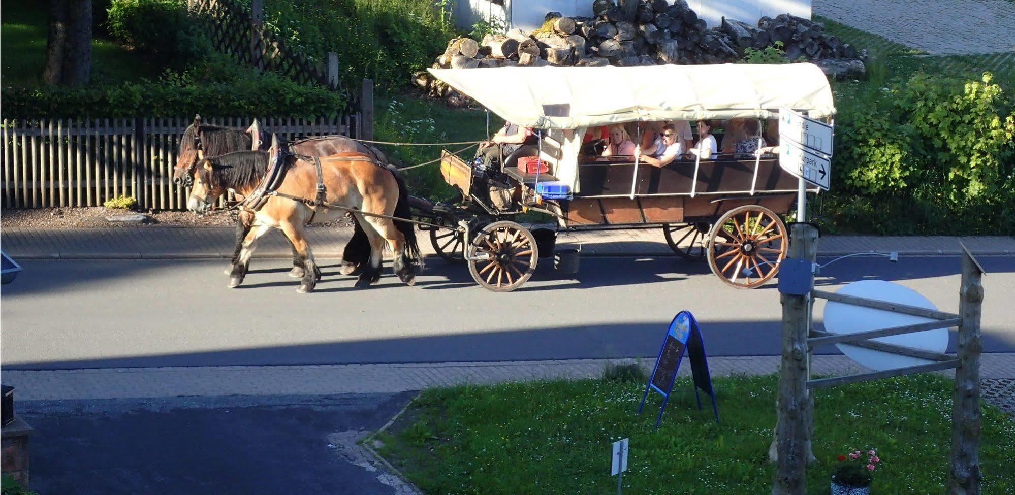 Hotel Zum Gruendle Oberhof  Bagian luar foto